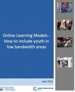 s4ye online learning models brief
