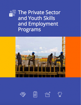 The Private Sector and Youth Skills and Employment Programs