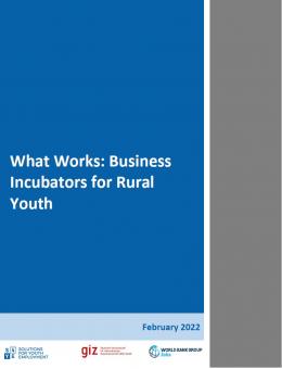 What Works: Business Incubators for Rural Youth